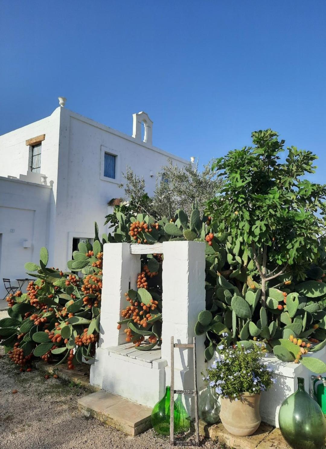 Masseria Fulcignano Galatone Ngoại thất bức ảnh