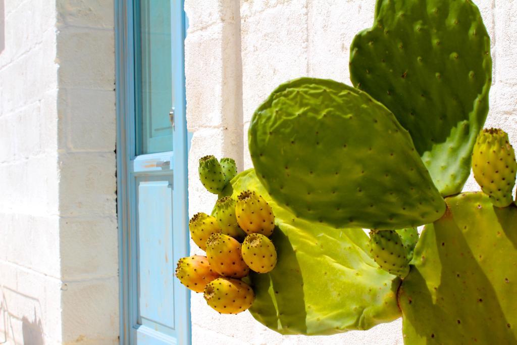 Masseria Fulcignano Galatone Ngoại thất bức ảnh