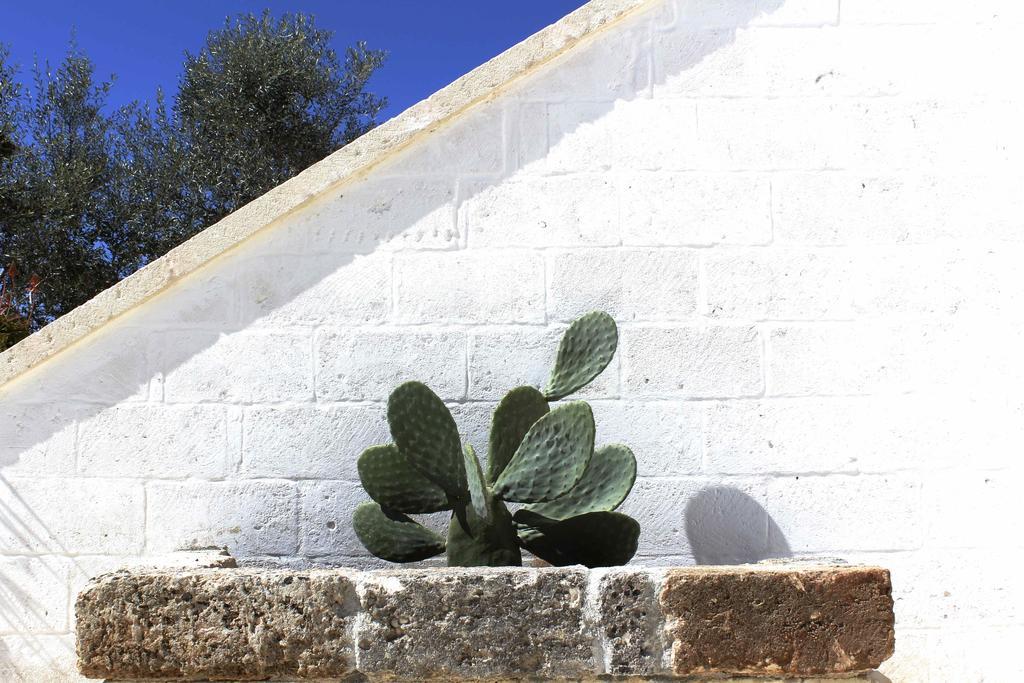 Masseria Fulcignano Galatone Ngoại thất bức ảnh