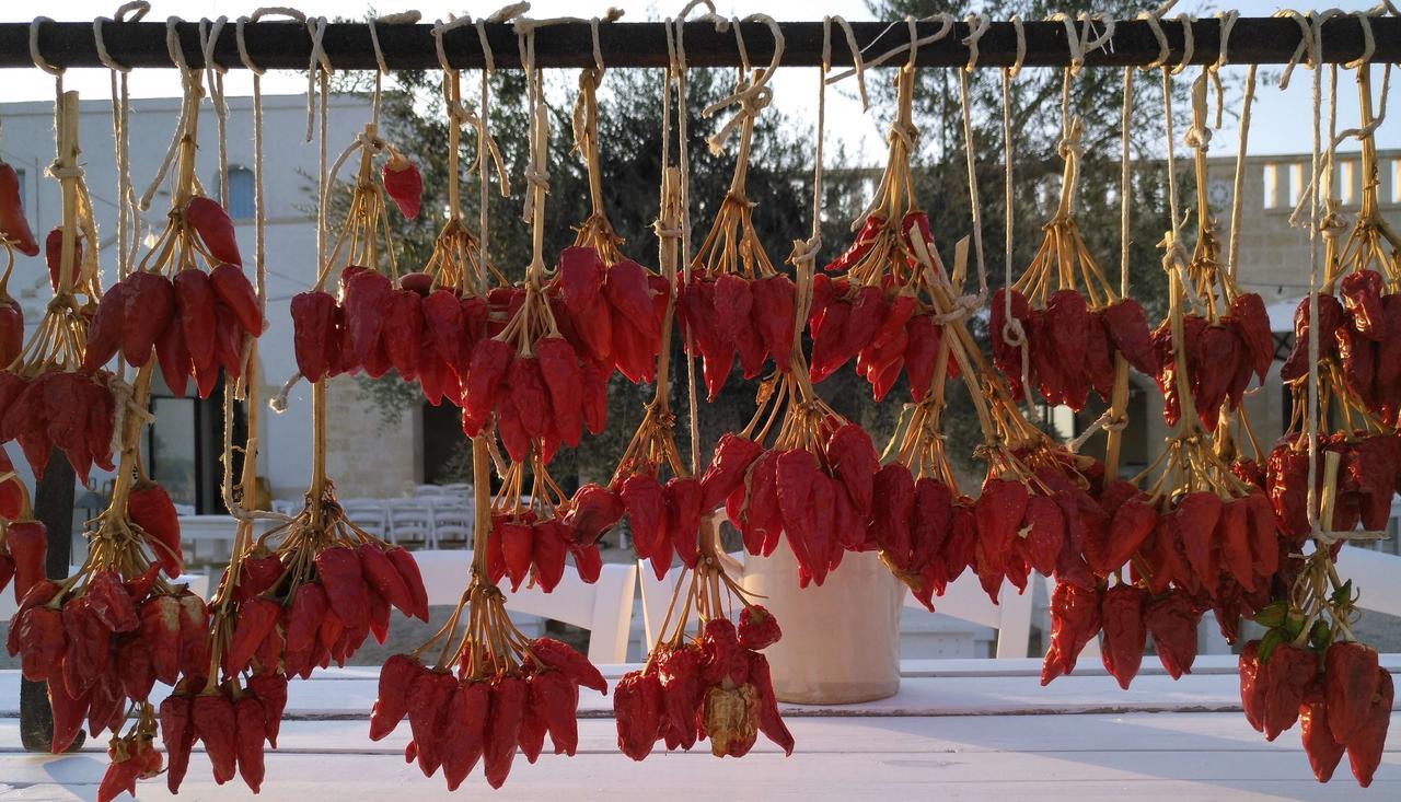 Masseria Fulcignano Galatone Ngoại thất bức ảnh
